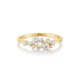 Ania Haie Gold Flower Cluster Pav¨¦ Ring