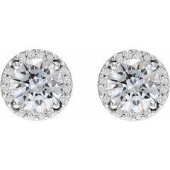 14K White Gold 1/2 CTW Natural Diamond Halo-Style Earrings