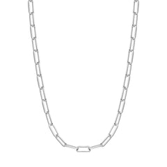 Silver Medium Chain Necklace